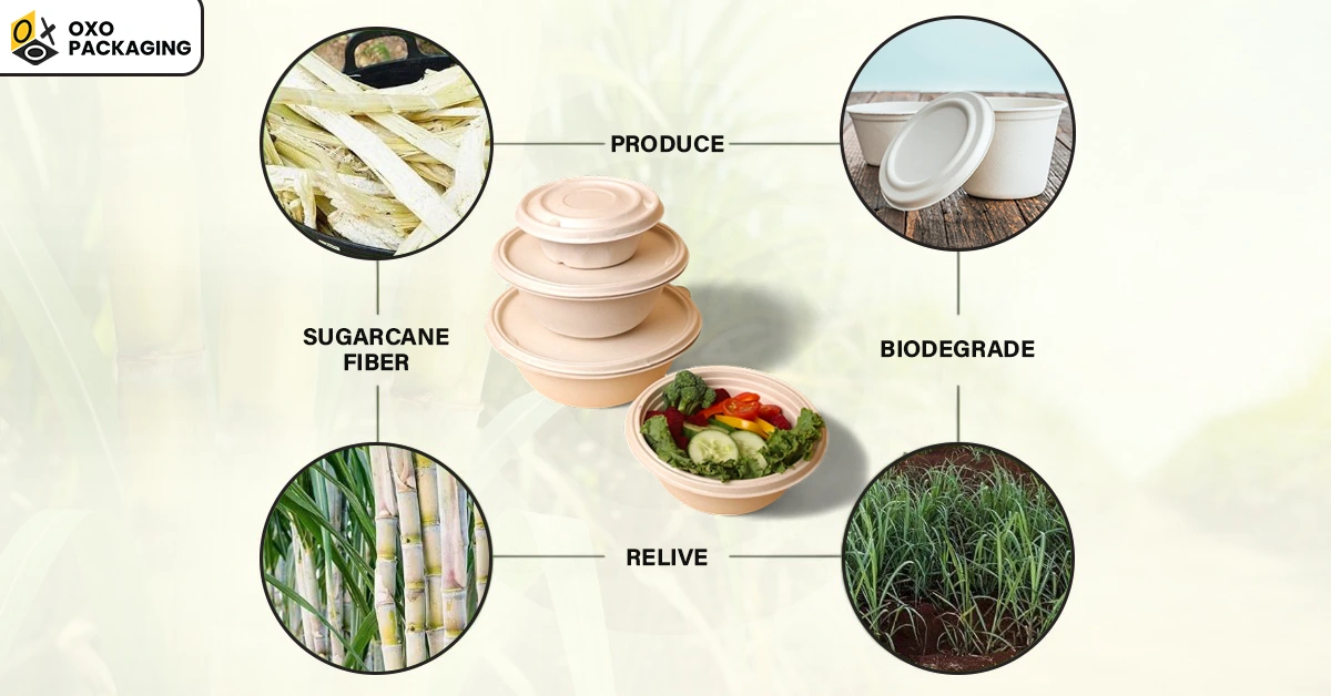 How are Sugarcane Containers Manufactured