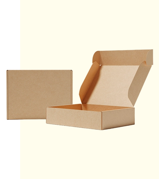 Custom Kraft Mailing Box