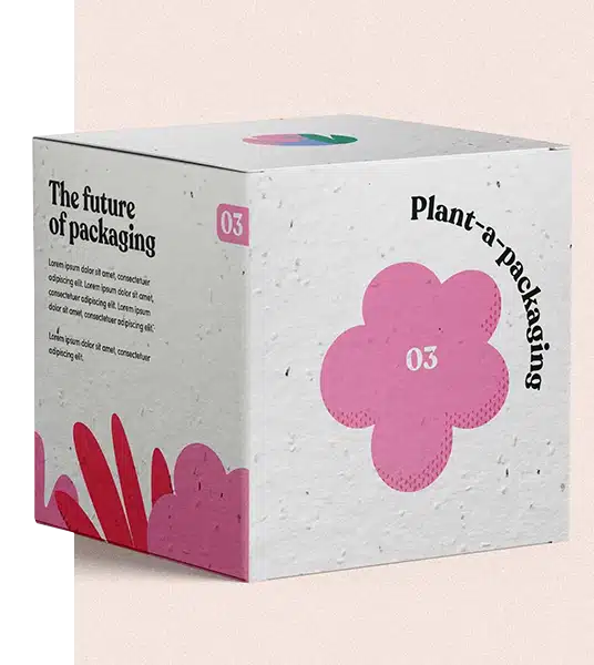 seed paper boxes wholesale