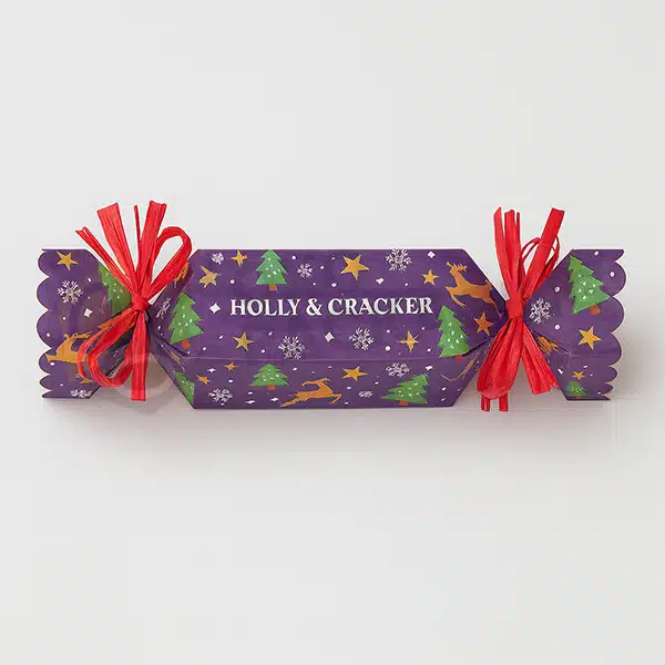 christmas cracker boxes