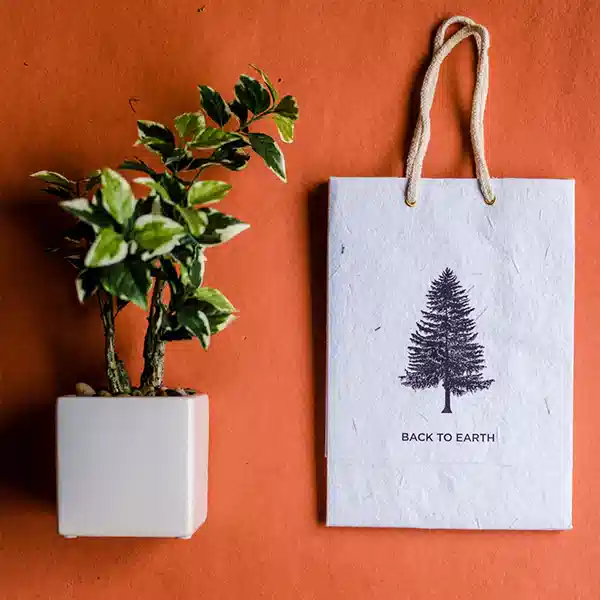 plantable pouches