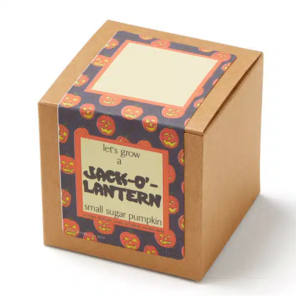 seed embedded candle boxes bulk