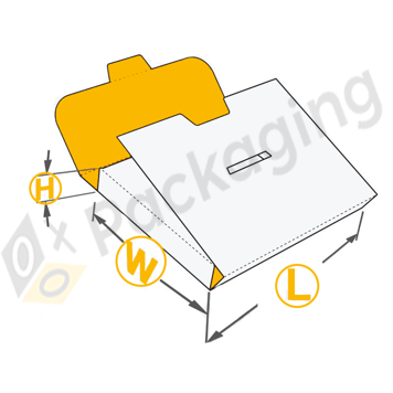 Custom Paper Brief Case Boxes