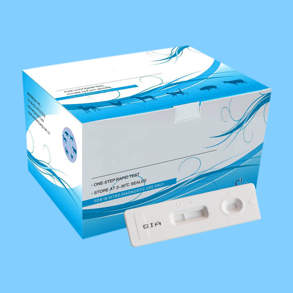 Custom Printed Research Diagnostic Packaging Boxes